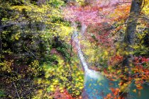 Paesaggio di tranquilla foresta stagionale con fogliame colorato sopra cascata turchese, Spagna — Foto stock