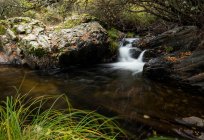 Meraviglioso ruscello con acqua dolce limpida che scorre nella maestosa foresta autunnale — Foto stock
