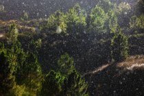 Arbres poussant près d'une magnifique chaîne de montagnes dans une journée enneigée — Photo de stock