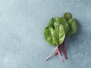 Mazzo di foglie di bietola verde fresco su sfondo grigio pietra — Foto stock