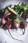 Fresh picked beetroots with stalks on white tabletop — Stock Photo