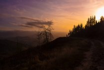 Величний краєвид зелених гір на сонячному світлі — стокове фото