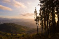Majestuoso paisaje de verdes montañas a la luz del sol - foto de stock