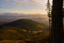 Перспективный пейзаж красивой долины с зелеными горами в ярком солнечном свете — стоковое фото