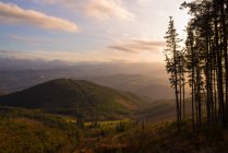 Majestuoso paisaje de verdes montañas a la luz del sol - foto de stock