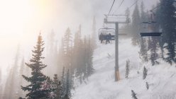 Seilbahnfahrer im Winter in Kanada auf einem Hügel zwischen Bäumen — Stockfoto