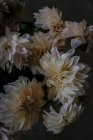 Bouquet de chrysanthèmes blancs frais sur fond flou — Photo de stock