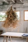 Concetto di mazzo di ramoscelli di conifere essiccazione e appeso a torsione in camera grigia con tavolo — Foto stock