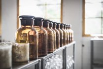Row of retro glass jars placed on shelf in room on blurred background — Stock Photo