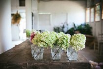 Деревянный стол с составом свежих белых гортензий в стаканах с водой в помещении на размытом фоне — стоковое фото