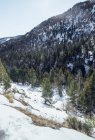 Panorama de hautes collines avec des bois verts en hiver à Cerdanya, France — Photo de stock