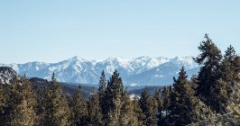 Panorama of high hills with green woods in winter in Cerdanya, France — Stock Photo
