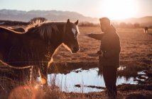 Vista lateral do homem tocando um cavalo pastando no prado perto da poça de água entre colinas enquanto segurava uma câmera profissional no dia ensolarado em Cerdanya, França — Fotografia de Stock