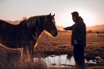 Vue latérale de l'homme touchant un pâturage à cheval sur une prairie près d'une flaque d'eau entre des collines tout en tenant une caméra professionnelle par temps ensoleillé à Cerdanya, France — Photo de stock