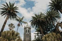 D'en bas vue magnifique sur les palmiers verts près de la vieille tour haute et ciel bleu avec des nuages — Photo de stock