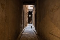 Удивительный вид на бедную улицу между древними домами в Марракеше, Марокко — стоковое фото