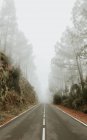 Strada asfaltata nella foresta nebbiosa — Foto stock
