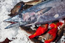 De dessus de poisson argenté brillant sur la glace de refroidissement avec des prises fraîches de petits poissons — Photo de stock