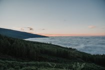 Вид на залитые зеленью леса и облака при солнечном свете — стоковое фото