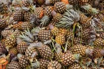 Dall'alto di grande mucchio di ananas appena raccolti e maturi — Foto stock