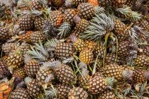 Von oben ein großer Haufen gerade geernteter und reifer Ananas — Stockfoto