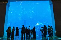 Grupo de personas anónimas mirando peces exóticos en un gran acuario en Dubai - foto de stock