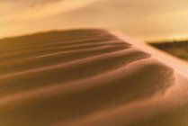 Pequeñas dunas en la arena del desierto - foto de stock