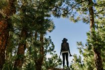 Visão traseira da mulher em pé em bosques verdejantes na floresta e no céu com sol — Fotografia de Stock