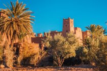 Costruzioni rupestri nella città vecchia vicino a alberi verdi e cielo blu a Marrakech, Marocco — Foto stock