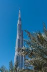 Листя екзотичних пальм біля чудового хмарочосу проти безхмарного блакитного неба в сонячний день на вулиці Дубаї. — стокове фото