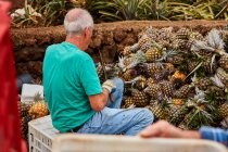Ein älterer Mann arbeitet auf einer Plantage und schneidet grüne Blätter von Ananas ab — Stockfoto