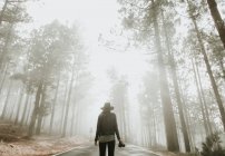 Вид на путешествующую женщину-фотографа, стоящую на дороге в туманном лесу с фотокамерой — стоковое фото