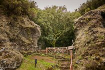 Leerer schmaler Pfad mit Stufen im Boden zwischen alten bemoosten Felsen im grünen tropischen Tal der Kanarischen Inseln — Stockfoto