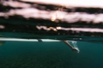 Seitenansicht einer Frau, die auf einem Surfbrett zwischen blauem Meerwasser auf Bali, Indonesien, schwimmt — Stockfoto