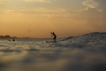 Vue latérale des silhouettes des mâles avec pagaie sur planche de surf entre l'eau de mer et le ciel en soirée sur Bali, Indonésie — Photo de stock