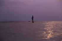 Vista lateral de silueta de macho con remo en tabla de surf entre el agua del mar y el cielo por la noche en Bali, Indonesia - foto de stock