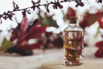 Bottle with fresh plant in liquid between foliage on blurred background — Stock Photo