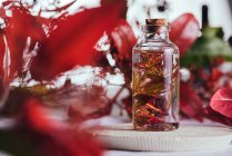 Botella con planta fresca en líquido entre hojas rojas sobre fondo borroso - foto de stock