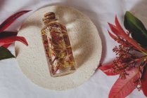 Bottiglia con pianta fresca in liquido tra su lavagna bianca con piante rosse — Foto stock