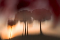 Pictorial landscape of defocused trees in dry valley against sunset sky — Stock Photo