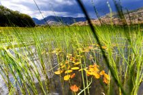 Прекрасний краєвид на газон на тлі віддаленого озера і гір під темним небом, Вільяфафіла. — стокове фото