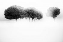 Beautiful pictorial landscape of defocused tree and bushes in dry valley, Spain — Stock Photo
