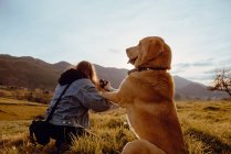 Visão traseira da jovem mulher fotografar paisagem na câmera perto de cão engraçado e amigável entre o prado e o céu azul — Fotografia de Stock
