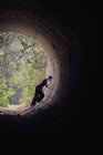 Jovem bailarina dançando na floresta — Fotografia de Stock