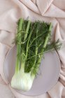 Organic healthy fresh fennel on plate on beige fabric — Stock Photo