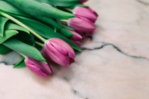 Bouquet of fresh pink tulips on marble surface — Stock Photo