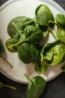 Foglie di spinaci freschi su superficie bianca — Foto stock