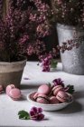 Солодкі макаруни на тарілці на столі з квітами — стокове фото