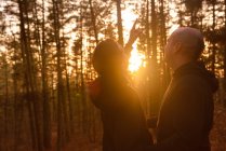 Гомосексуальна пара стоїть в лісі в яскравому сонячному світлі — стокове фото