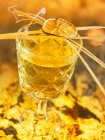 Крупним планом сушені цитрусові та спеції на вершині невеликої склянки тропічного коктейлю в барі — стокове фото